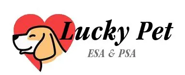 A picture of the lucky logo.