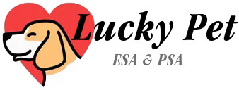 A logo of lucky 's esa & pizza