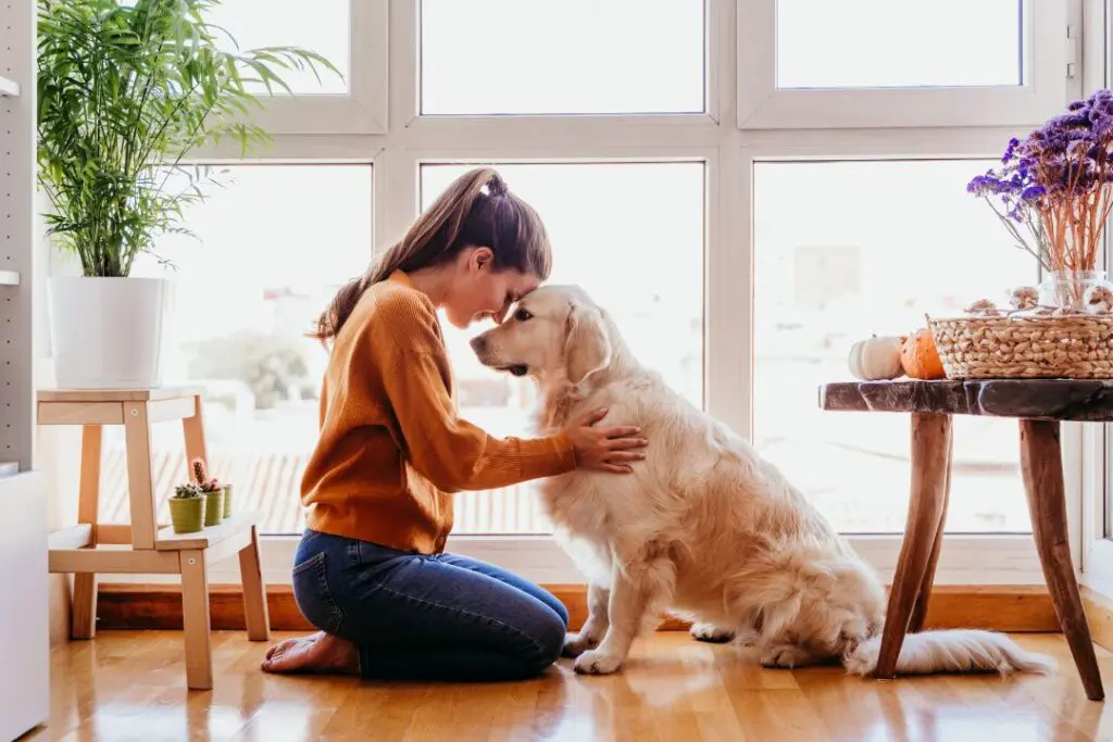Exploring the Fair Housing Act and the Joy of Living with Your Pet